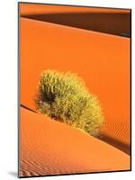 Dune et Herbe-Bilderteam-Mounted Art Print