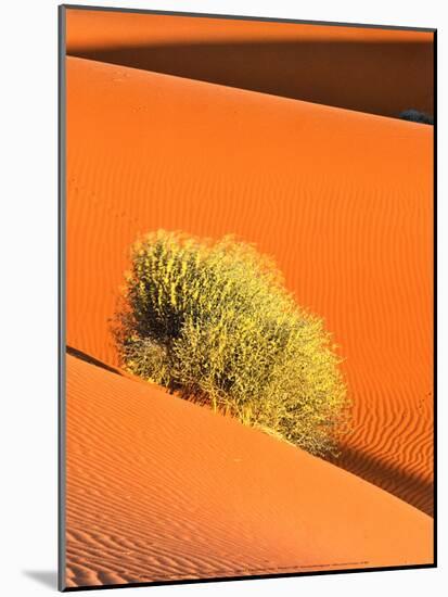 Dune et Herbe-Bilderteam-Mounted Art Print