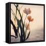 Dune Flowers No 1-Treechild-Framed Stretched Canvas