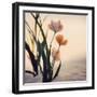 Dune Flowers No 1-Treechild-Framed Photographic Print