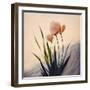 Dune Flowers No 3-Treechild-Framed Photographic Print