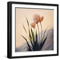 Dune Flowers No 3-Treechild-Framed Photographic Print