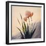 Dune Flowers No 3-Treechild-Framed Photographic Print