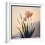 Dune Flowers No 3-Treechild-Framed Photographic Print