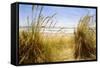 Dune Grass 3-Thea Schrack-Framed Stretched Canvas