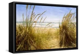 Dune Grass 3-Thea Schrack-Framed Stretched Canvas