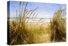 Dune Grass 3-Thea Schrack-Stretched Canvas