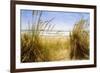 Dune Grass 3-Thea Schrack-Framed Giclee Print