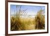 Dune Grass 3-Thea Schrack-Framed Giclee Print