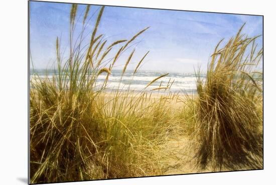 Dune Grass 3-Thea Schrack-Mounted Giclee Print