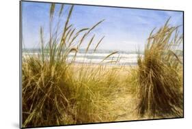 Dune Grass 3-Thea Schrack-Mounted Giclee Print