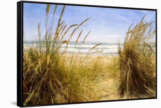 Dune Grass 3-Thea Schrack-Framed Stretched Canvas