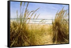 Dune Grass 3-Thea Schrack-Framed Stretched Canvas