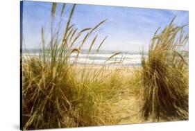 Dune Grass 3-Thea Schrack-Stretched Canvas