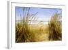 Dune Grass 3-Thea Schrack-Framed Giclee Print