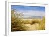 Dune Grass 4-Thea Schrack-Framed Giclee Print