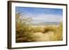 Dune Grass 4-Thea Schrack-Framed Giclee Print