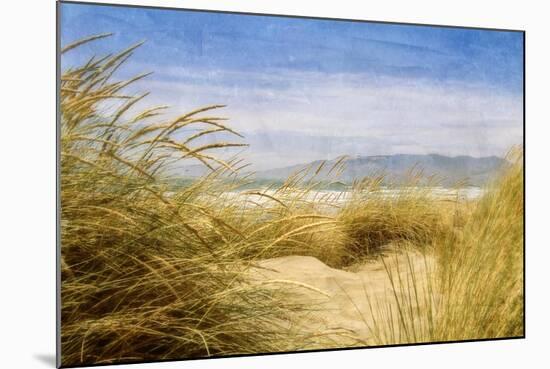Dune Grass 4-Thea Schrack-Mounted Giclee Print