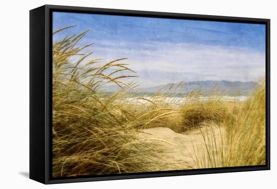 Dune Grass 4-Thea Schrack-Framed Stretched Canvas