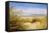 Dune Grass 4-Thea Schrack-Framed Stretched Canvas