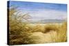 Dune Grass 4-Thea Schrack-Stretched Canvas