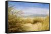 Dune Grass 4-Thea Schrack-Framed Stretched Canvas