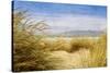 Dune Grass 4-Thea Schrack-Stretched Canvas