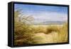 Dune Grass 4-Thea Schrack-Framed Stretched Canvas