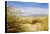 Dune Grass 4-Thea Schrack-Stretched Canvas