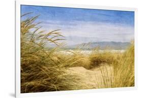 Dune Grass 4-Thea Schrack-Framed Giclee Print