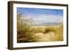 Dune Grass 4-Thea Schrack-Framed Giclee Print