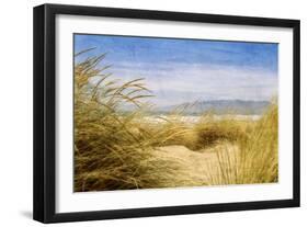 Dune Grass 4-Thea Schrack-Framed Giclee Print