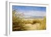 Dune Grass 4-Thea Schrack-Framed Giclee Print