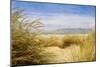 Dune Grass 4-Thea Schrack-Mounted Giclee Print