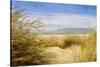 Dune Grass 4-Thea Schrack-Stretched Canvas