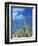 Dune Grass, Florida Keys-Lauree Feldman-Framed Photographic Print