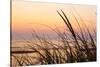 Dune Grasses at Coast Guard Beach in the Cape Cod National Seashore. Eastham, Massachusetts-Jerry and Marcy Monkman-Stretched Canvas