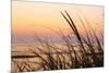 Dune Grasses at Coast Guard Beach in the Cape Cod National Seashore. Eastham, Massachusetts-Jerry and Marcy Monkman-Mounted Premium Photographic Print