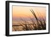 Dune Grasses at Coast Guard Beach in the Cape Cod National Seashore. Eastham, Massachusetts-Jerry and Marcy Monkman-Framed Photographic Print
