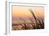 Dune Grasses at Coast Guard Beach in the Cape Cod National Seashore. Eastham, Massachusetts-Jerry and Marcy Monkman-Framed Photographic Print