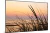 Dune Grasses at Coast Guard Beach in the Cape Cod National Seashore. Eastham, Massachusetts-Jerry and Marcy Monkman-Mounted Photographic Print