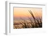 Dune Grasses at Coast Guard Beach in the Cape Cod National Seashore. Eastham, Massachusetts-Jerry and Marcy Monkman-Framed Photographic Print