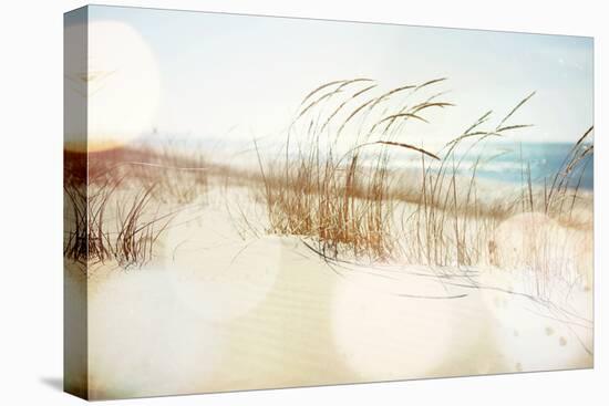 Dune Grasses on the Beach-soupstock-Stretched Canvas