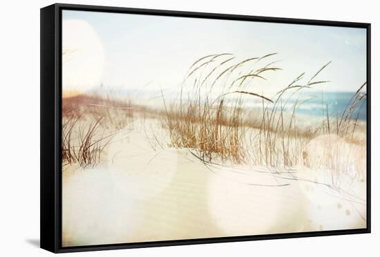 Dune Grasses on the Beach-soupstock-Framed Stretched Canvas