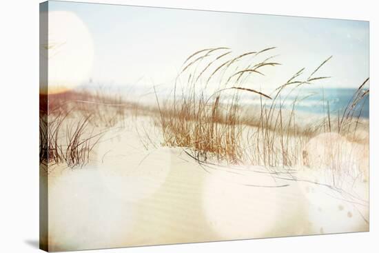 Dune Grasses on the Beach-soupstock-Stretched Canvas