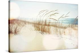 Dune Grasses on the Beach-soupstock-Stretched Canvas