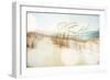 Dune Grasses on the Beach-soupstock-Framed Photographic Print