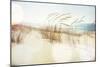 Dune Grasses on the Beach-soupstock-Mounted Photographic Print