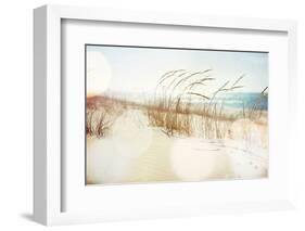 Dune Grasses on the Beach-soupstock-Framed Photographic Print