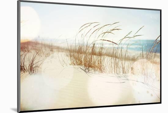 Dune Grasses on the Beach-soupstock-Mounted Photographic Print